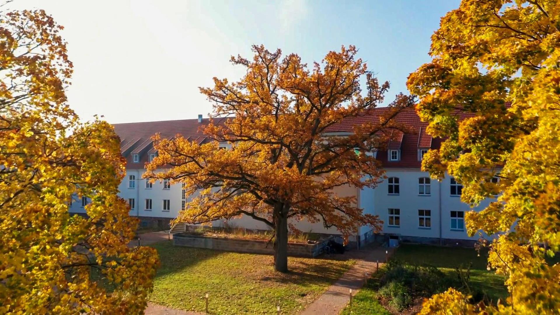 Parkresidenz Lychen, Ferienwohnung 1 Exterior foto